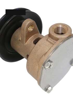 适用于Sherwood KOHLER海水泵G910P GM104855 344371 JPR-KL101P