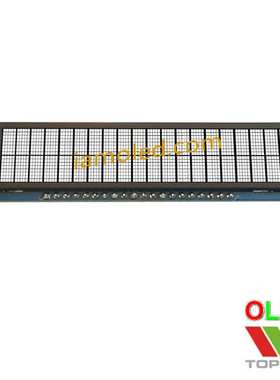 2.93英寸20针断码字符型oled液晶模块白色白光8bit并口20x2高亮