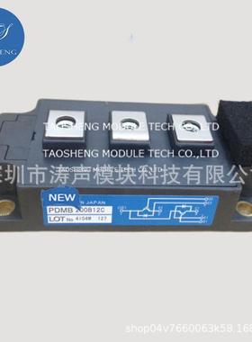 PDMB300B12 PDMB400B12 PDMB600B12 PDMB200B17C 现货模块咨询