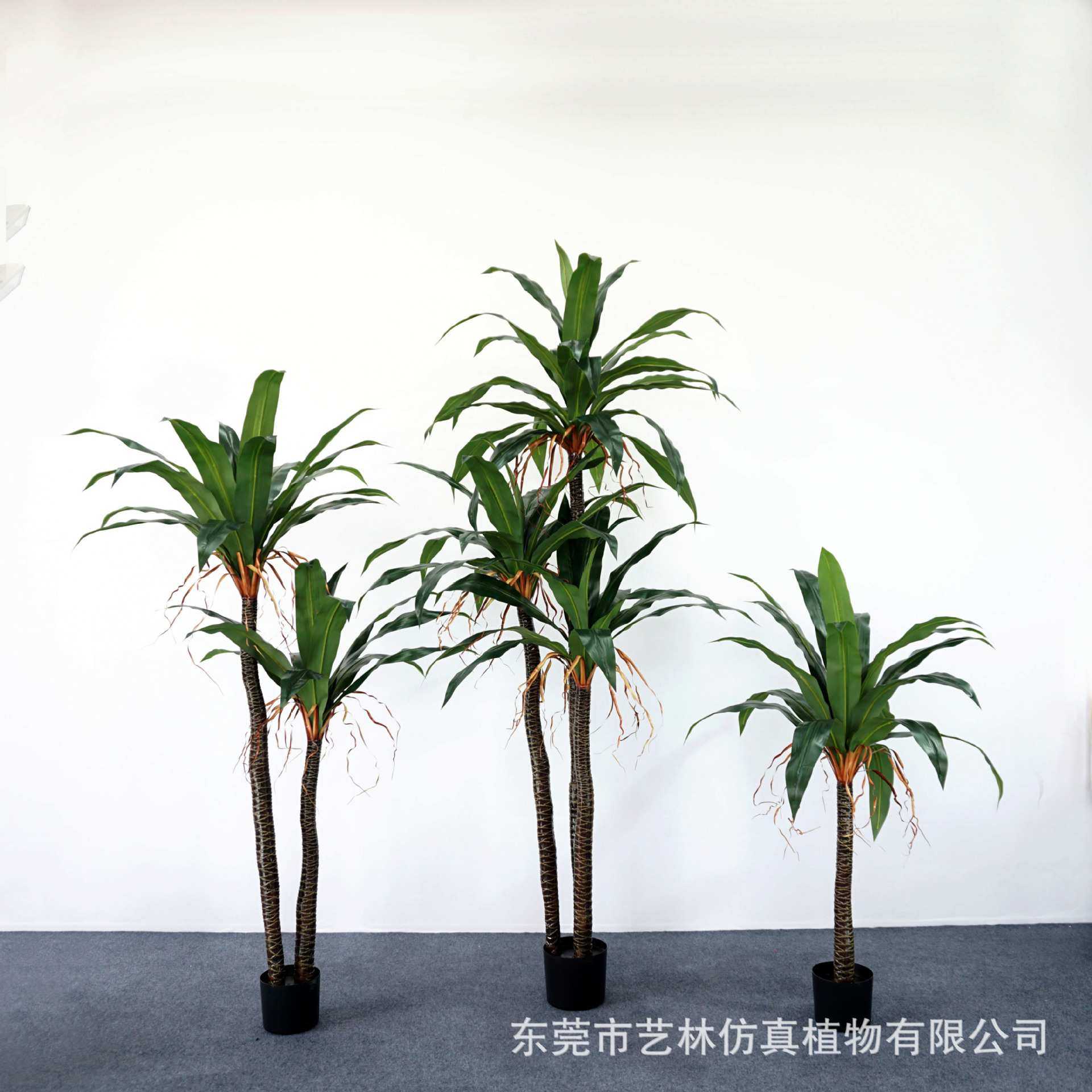 仿真铁树绿植酒店客厅室内大型落地植物装饰花草盆栽巴西铁盆景,模玩/动漫/周边/娃圈三坑/桌游,模型制作工具/辅料耗材,淘宝优惠券,粉丝福利购,淘宝优惠卷