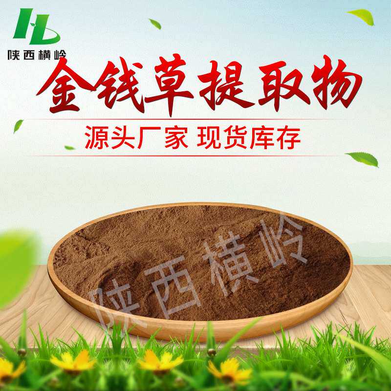现货供应金钱草提取物 50:1 30:1规格 水溶性报春花/过路黄浸膏粉