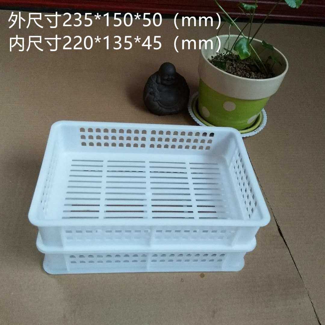 2斤蓝莓采摘筐 厂家塑料周转筐水果筐树莓黑莓采摘筐