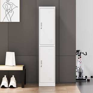 丰力更衣柜拆装家用衣柜宿舍用单体柜鞋柜储物柜存包柜