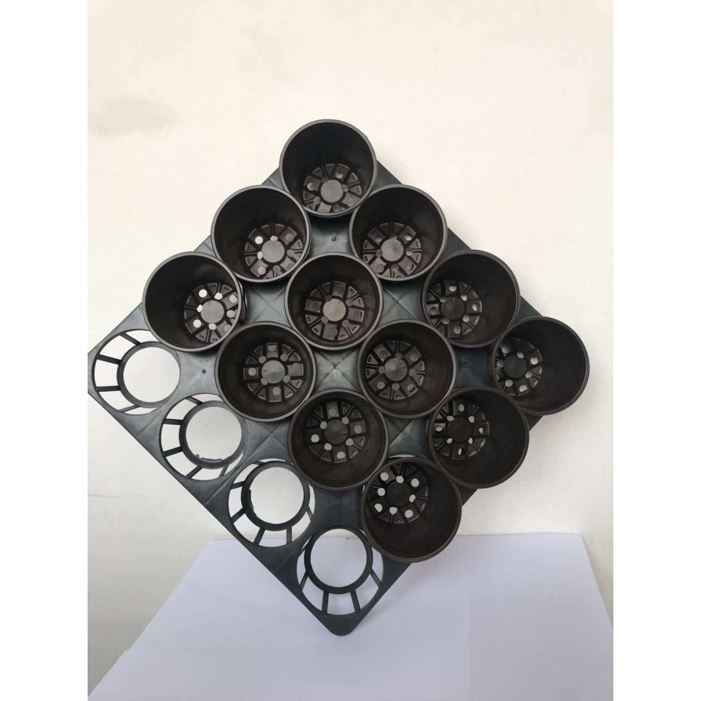 厂家供应塑料花盆托盘 蝴蝶兰托盘 花盆组合系列苗圃专用带托盘