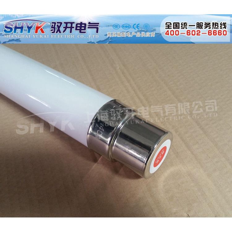 供应XRNT4-15.5KV/100A 88*537 高压限流熔断器（变压器保护）