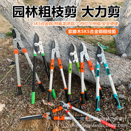 厂家批发伸缩粗枝大力剪修树枝剪刀园艺果树剪刀高枝剪园林工具