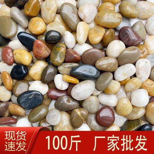 100斤天然鹅卵石铺路铺地庭院花园造景雨花石大小石头抛光鹅软石