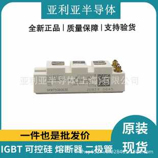 SKM195GB066D SKM200GB60DLC SKM200GB063D SKM50GB12T4-12V原盒