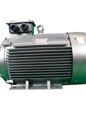 鸿泰一级能效电机TCYP5-160M1-2t18.5KWt380V适应性强