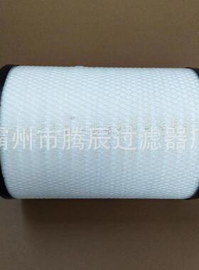腾辰供应1872151 1730757 1377099 C301359卡车空气滤清器 滤芯