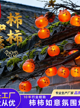2025太阳能柿子灯串挂树上的彩灯庭院装饰灯小红灯笼新年氛围挂灯