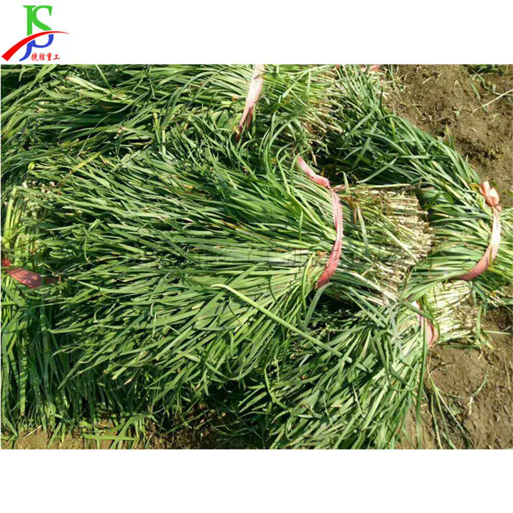 农小型芝麻收获机 手扶式用韭获菜收割机 大辣椒韭棚菜收DXI工具
