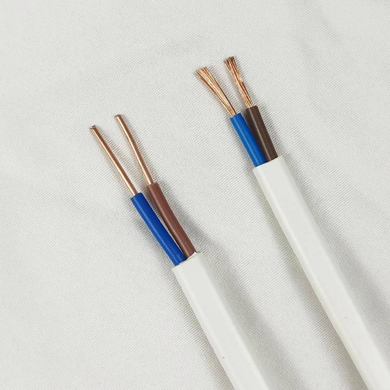 RVV扁形（RVVB）2芯线铜芯家装软护套线国标白色电线电缆电源阻燃