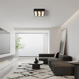 无主灯客厅照明家用明装 筒灯斗胆灯led射灯卧室灯吸顶R274可调光