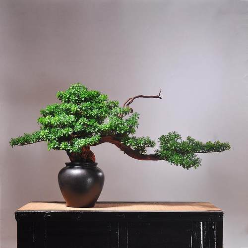 中式迎客松摆件家居玄关花瓶罗汉松盆景装饰大型仿真禅意室内盆景