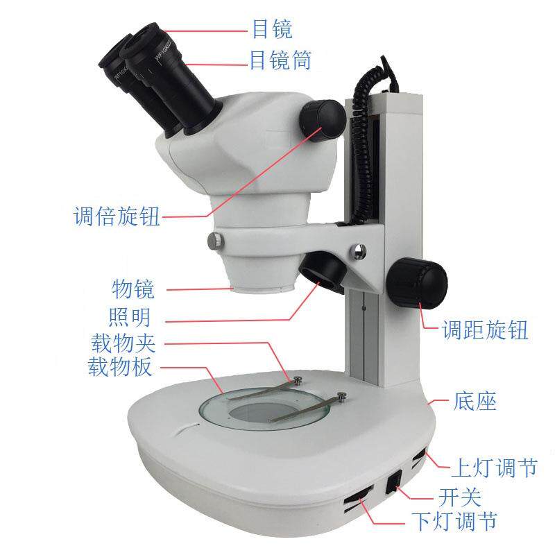 ZOOM0850体式显微镜 8-50X大连变 连续变倍 自带照明 扇形立臂