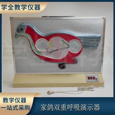 家鸽双重呼吸演示器(电动式)生物教学演示模型教学展示器材教具
