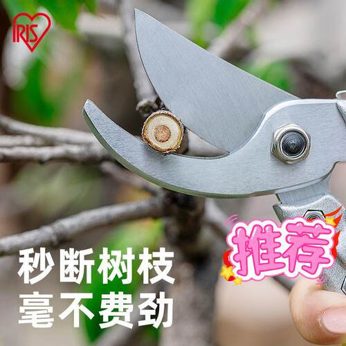爱丽思SK5碳钢剪刀园林修枝剪盆栽果树修剪花卉盆景树枝剪爱丽丝