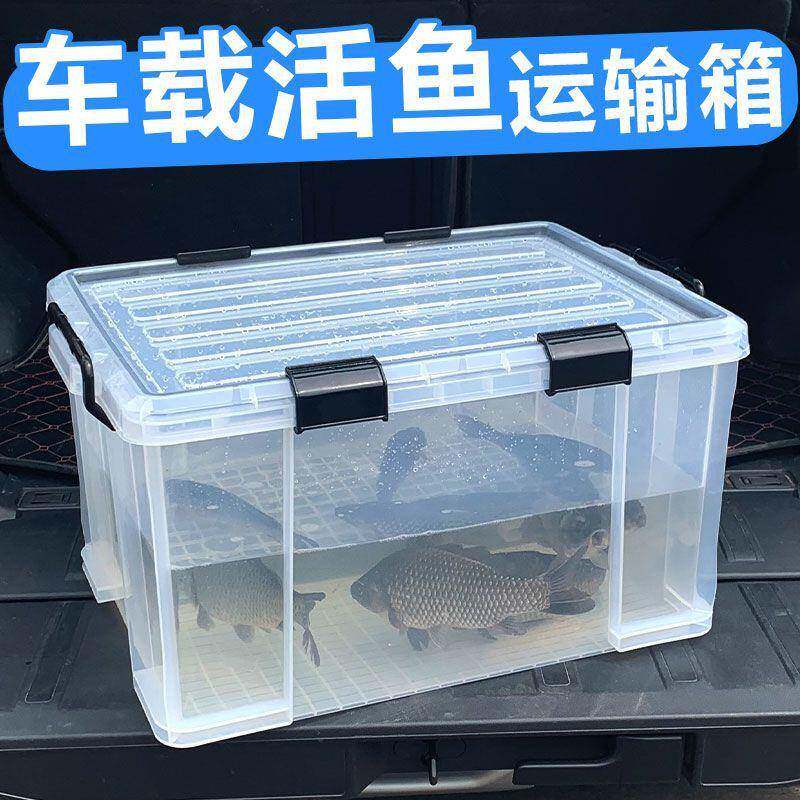 户外车载后备箱活鱼运输水箱长方形密封条收纳钓鱼箱养鱼周转森升