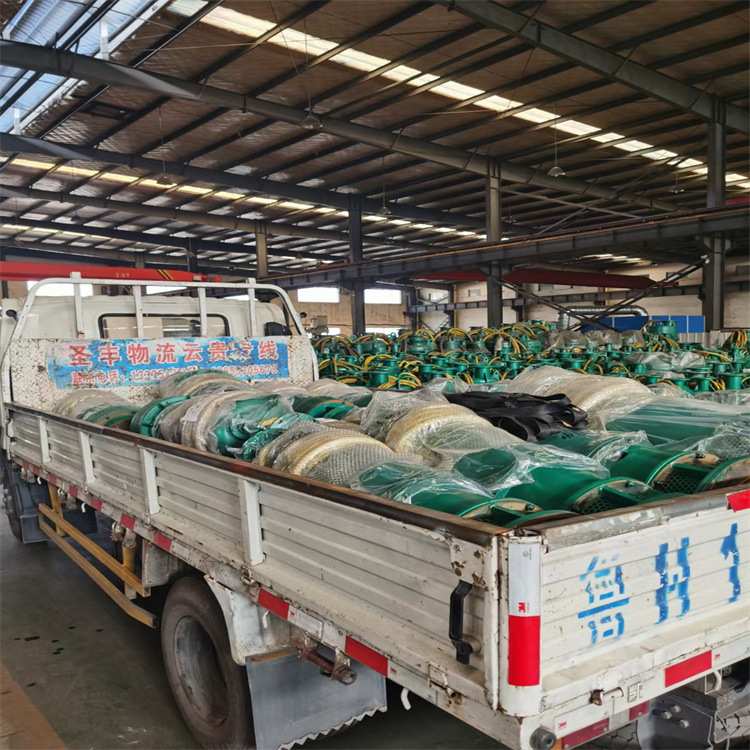 BQS100-200/3-132/N潜水泵 防缠绕无堵塞 BQS排沙排污潜水泵