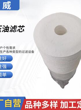 滤芯工厂供应 F27/27过滤器滤芯PA5600505液压油滤芯采油滤芯