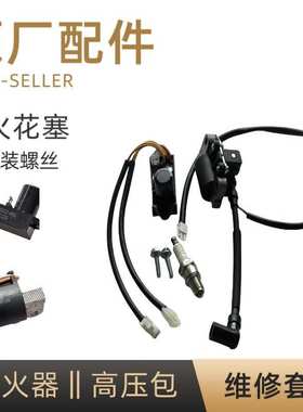 Loncin 发电机点火器触发模块高压包总成套装带火花塞安装螺丝