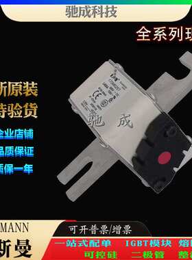 巴斯曼170M6299 170M6301 170M6303 长期 销售价优 低压熔断器