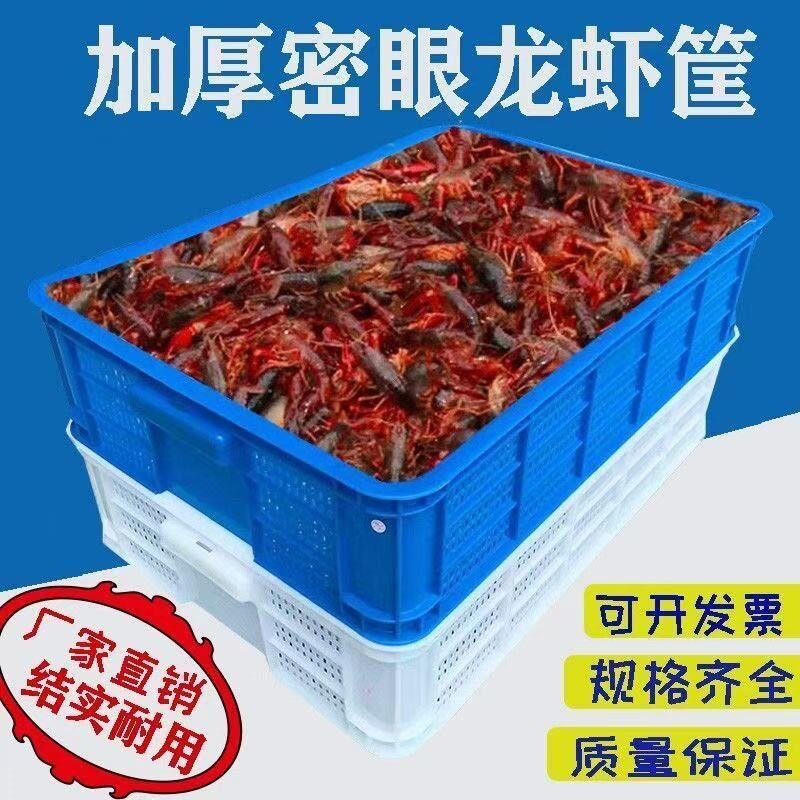 龙虾虾苗专用筐塑料镂空周转筐长方形工厂水果蔬菜收纳整理运输筐