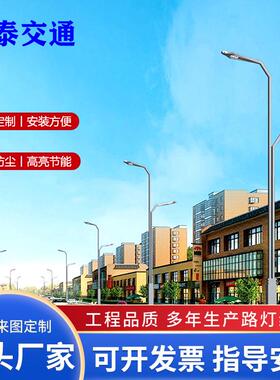 LED双臂路灯LED双臂景观路灯，户外防水照明灯厂家直销工程路灯