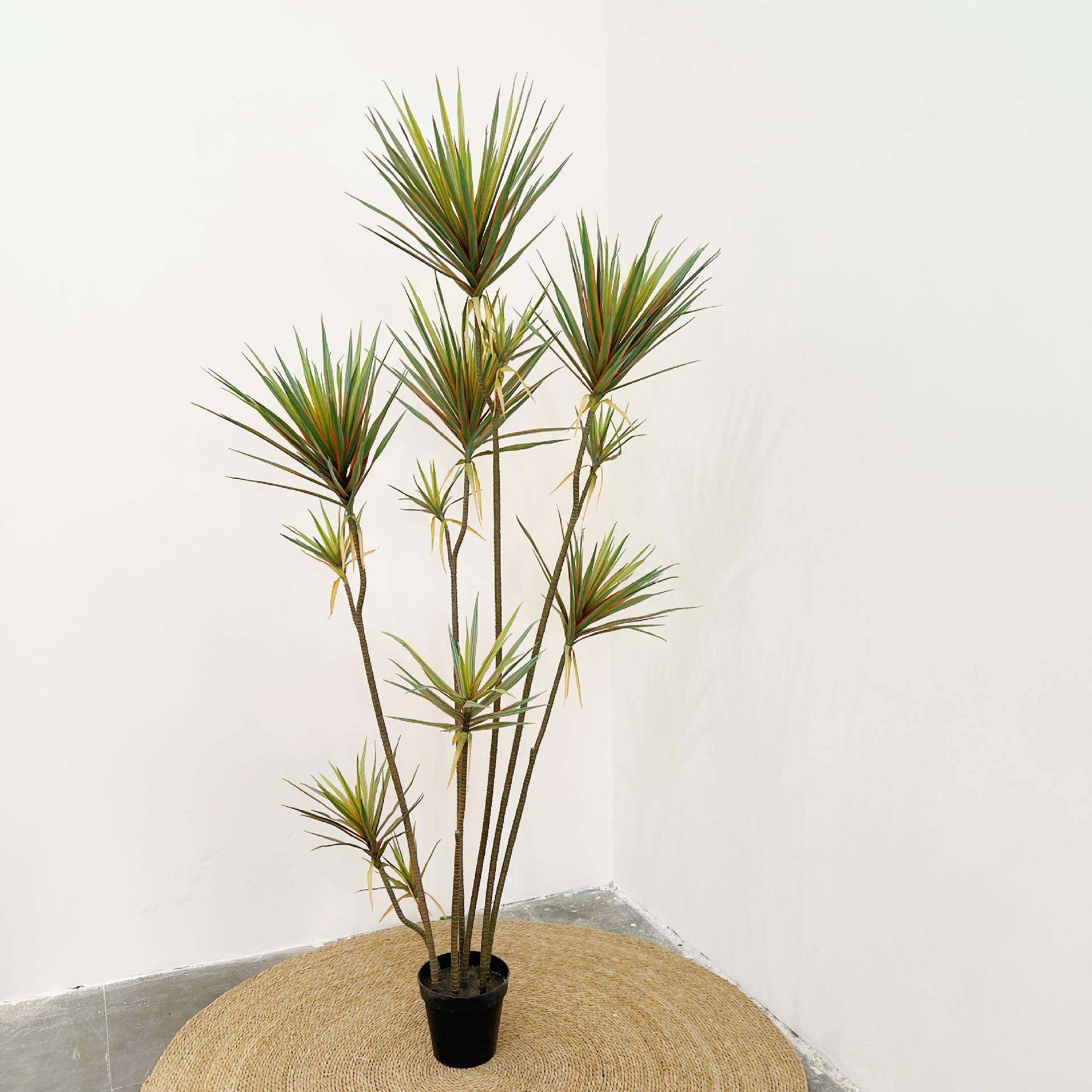 含阳仿真绿植千年木七彩龙血树红边铁树园林造景家居酒店摄影