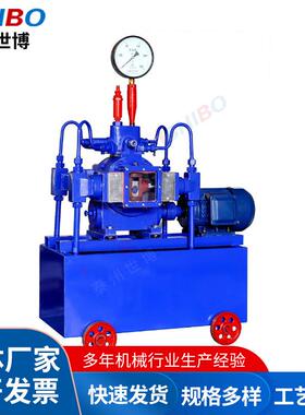 世博4DSB-2.5/4.0/6.3/10/16/25/40/60/80/100系列压力自控试压泵