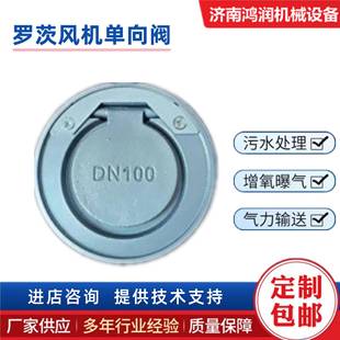 三叶罗茨风机配件齿轮皮带单向阀山东直供安全阀压力表防爆