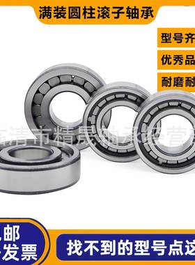 瑞典满装圆柱滚子轴承NNF5022ADA-2LSV SL045022PP2NR旋转轴承