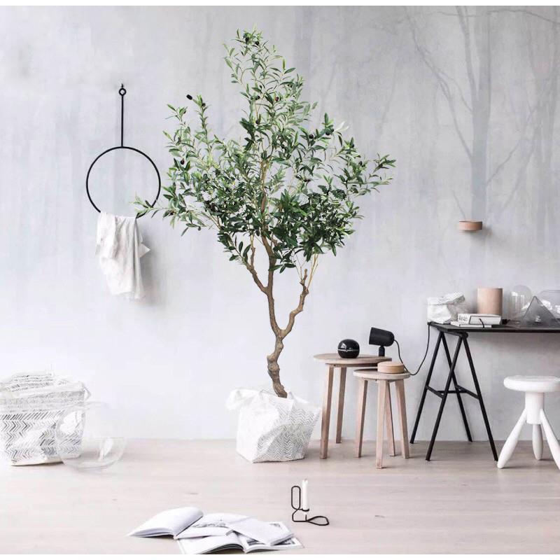桔子红了 新品 北欧仿真绿植橄榄树 家居植物盆栽 盆景橄榄叶