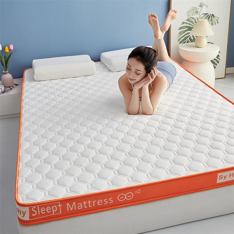 乳胶记忆棉床垫家用学生宿舍不塌陷经济型家用榻榻米垫背海绵垫子