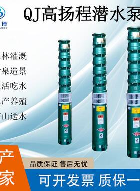 高扬程深井泵175QJ80-90-30立式清水家用水泵铸铁耐磨多级增压泵