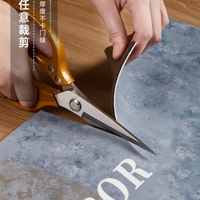 新款入户门地垫进门门口门垫脚垫PVC可擦免洗家用进户皮革地毯可