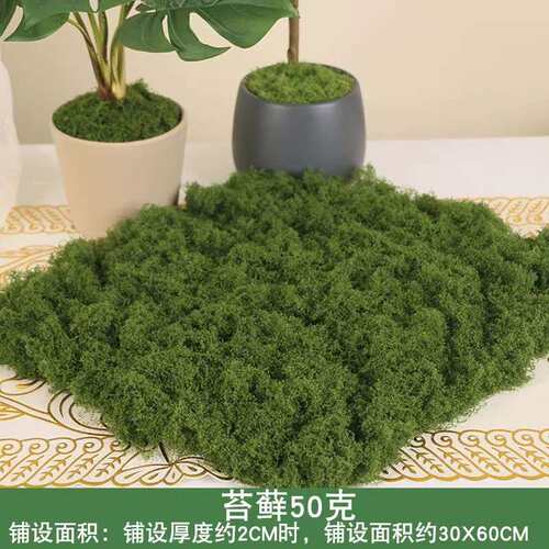 仿真毛线绿色假苔藓造影青苔绿植微景装饰铺面人造草坪石头草皮