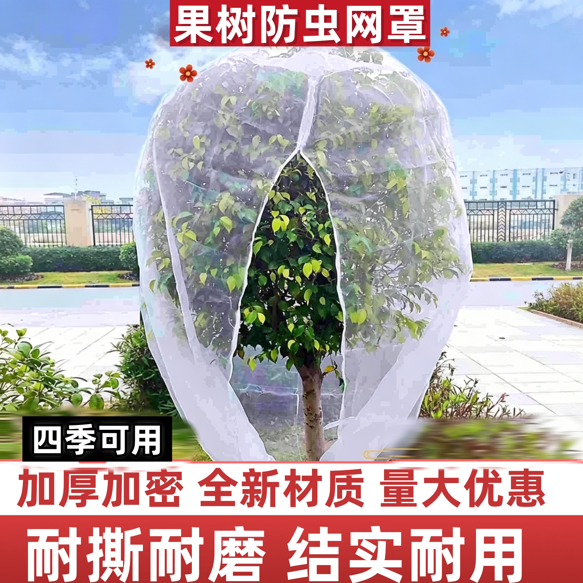 果树防虫防鸟网罩植物盆栽果园用