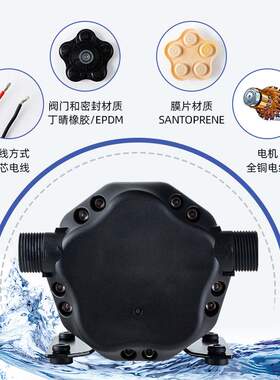 大流量300w12V24VDC自吸水泵增压泵洗车泵浇菜园环卫车房