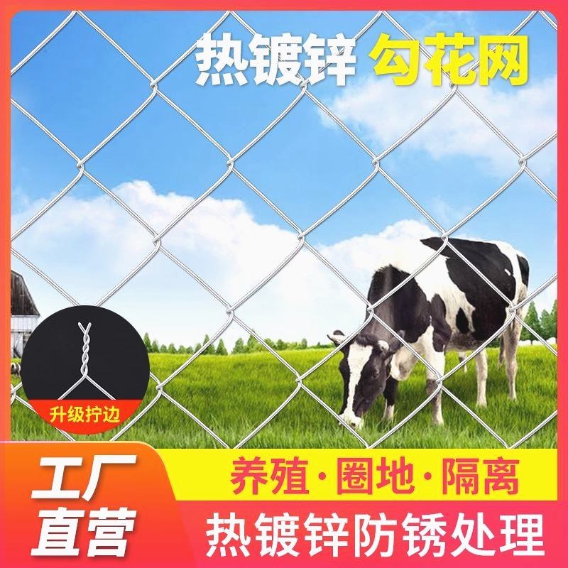 热镀锌铁丝网围栏网养鸡狗牛羊养殖网勾花网钢丝网户外防锈防护网