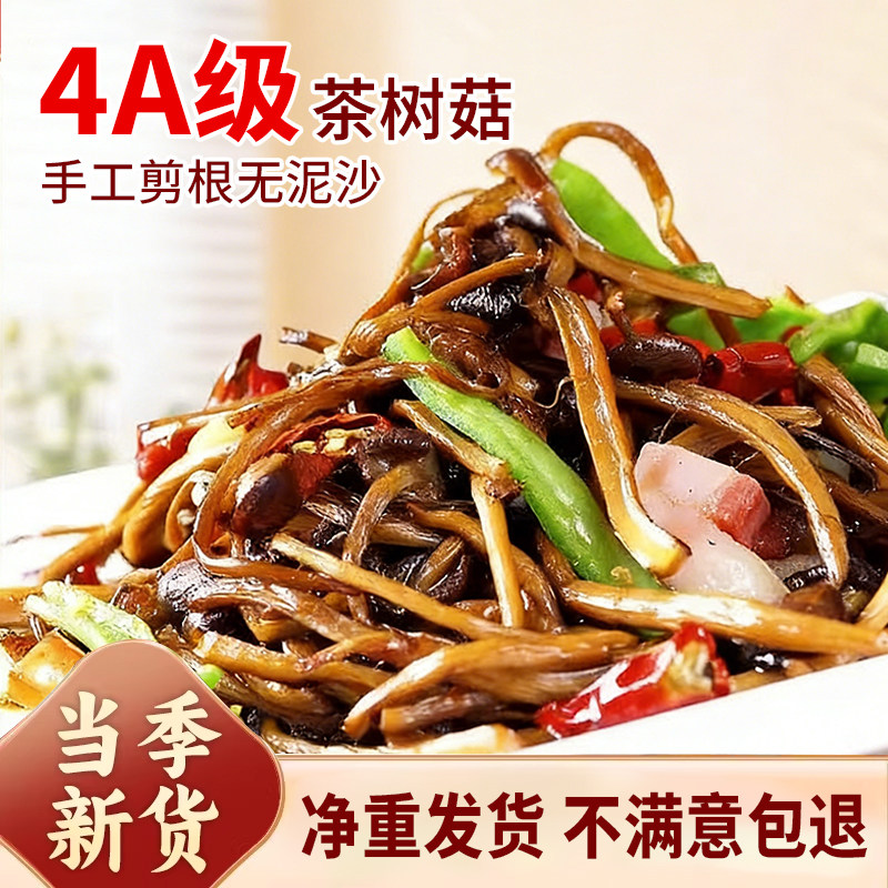 云南正宗特产茶树菇干货新鲜煲汤食材农家菌菇美食营养茶薪菇500g