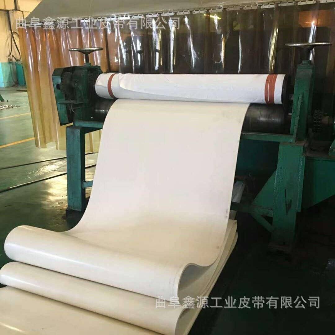平面白色输送带粉条流水线传动带裙边挡板导条运输带