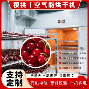 樱桃烘干机大型车厘子英桃热泵烘干房智能控温莺桃水果烘干设备