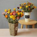 彩菊雏菊满天星真花装 饰摆件道具花瓣干花包Q干树枝客厅干花花束