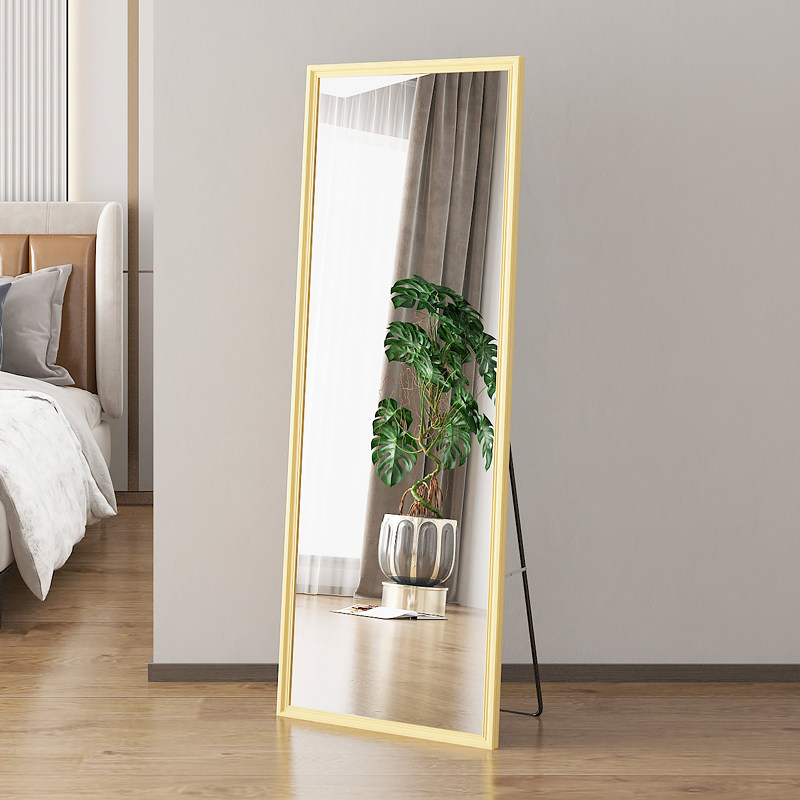 全身穿衣镜子落地家用复古女生卧室化妆立体壁挂欧式等身小型试衣