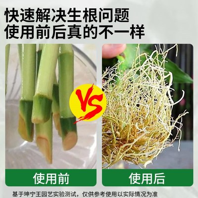 快速生根粉植物通用树木移栽扦插专用强力植物生根粉官方旗舰店