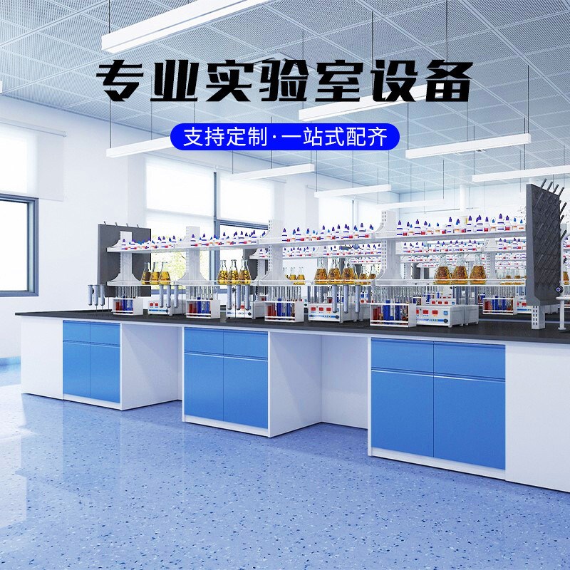 实验室实验台钢木实验台学校物理工作台全钢实验室边台试验台