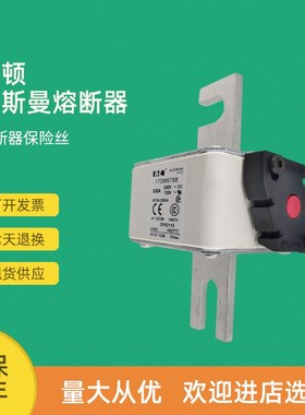 全新快速熔断器保险170M6947 170M6948 170M6949 170M6950