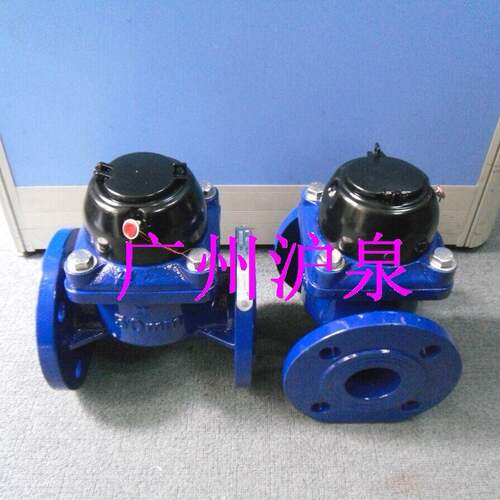 LXG-50污水表污水水表排污水表DN50水表